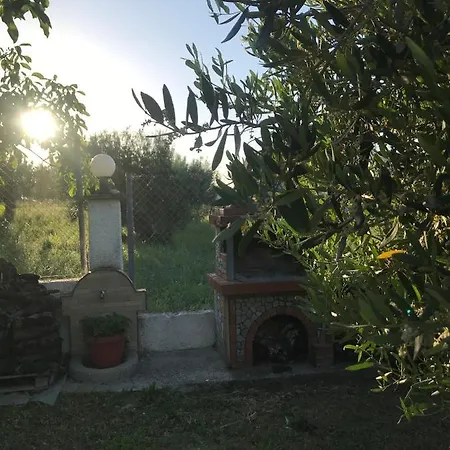 Barbara House